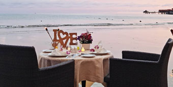 SURF DINNER