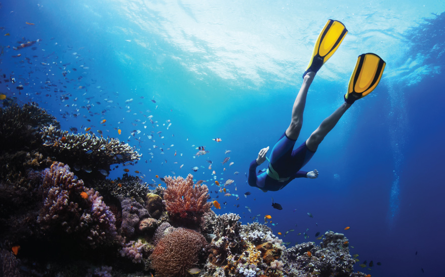 Diving in Tioman
